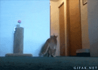 Acid GIFs, April 4 (25 gifs)