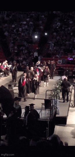 Acid GIFs, April 5 (25 gifs)