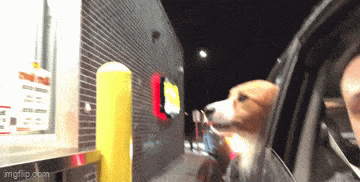 Acid GIFs, April 5 (25 gifs)