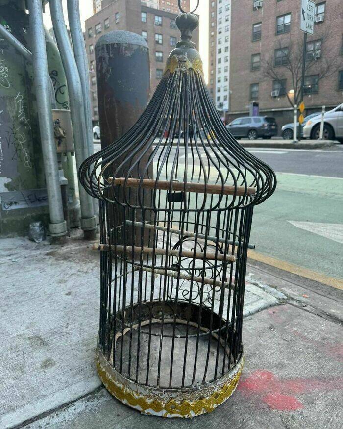 Cool Roadside Finds (22 pics)