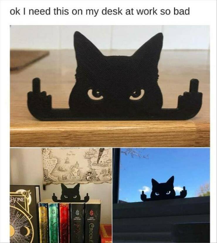 Daily Pictures. Part 2 (72 pics)