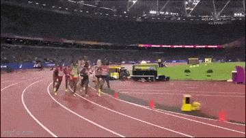 Acid GIFs, April 8 (25 gifs)