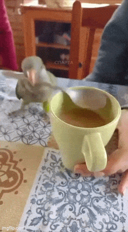 Acid GIFs, April 8 (25 gifs)