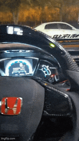 Acid GIFs, April 8 (25 gifs)