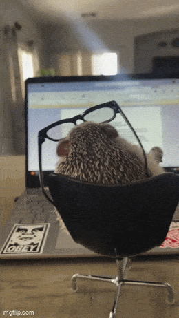 Acid GIFs, April 8 (25 gifs)