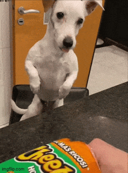 Acid GIFs, April 8 (25 gifs)