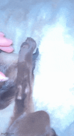 Acid GIFs, April 8 (25 gifs)