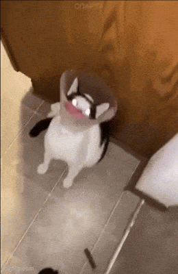 Acid GIFs, April 8 (25 gifs)