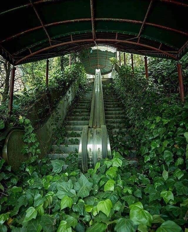 Beautiful Abandoned Places (15 pics)