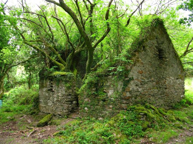 Beautiful Abandoned Places (15 pics)