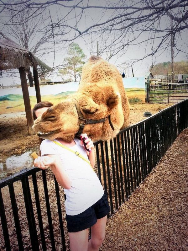 Right Moment (20 pics)