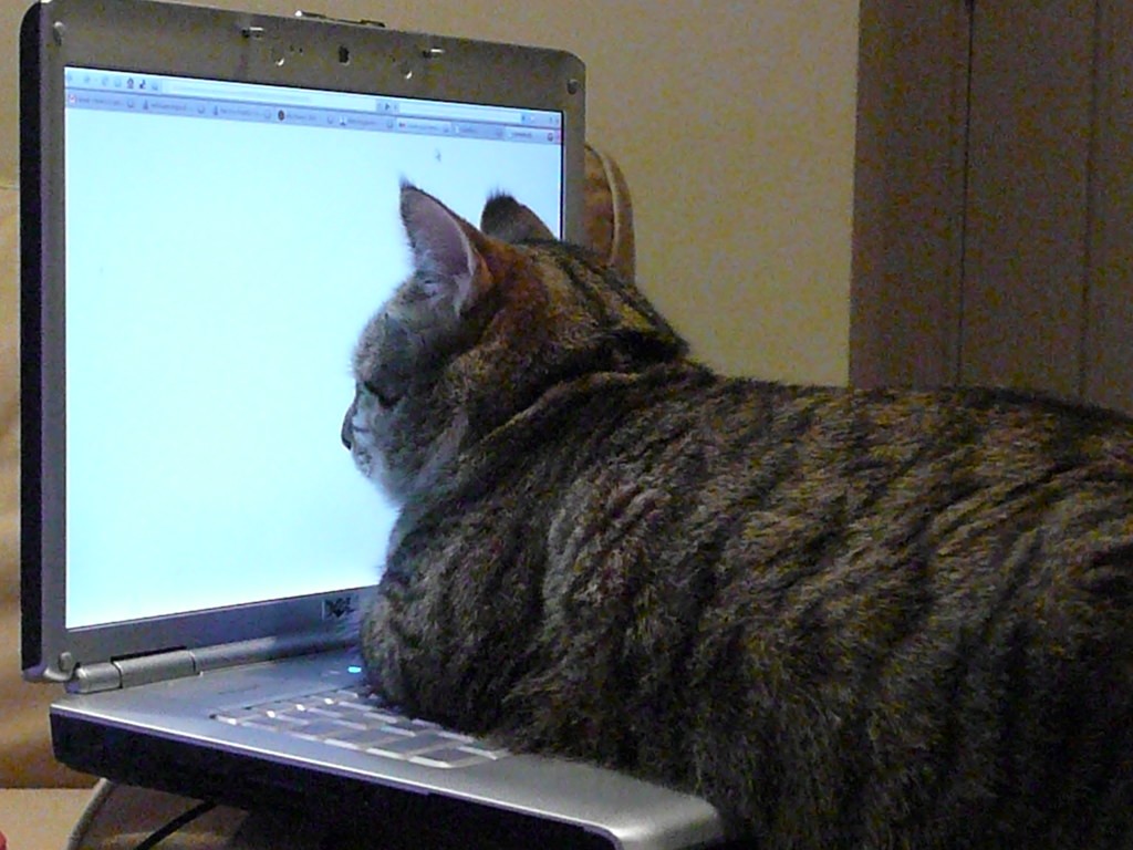 They Love Computers (20 pics)