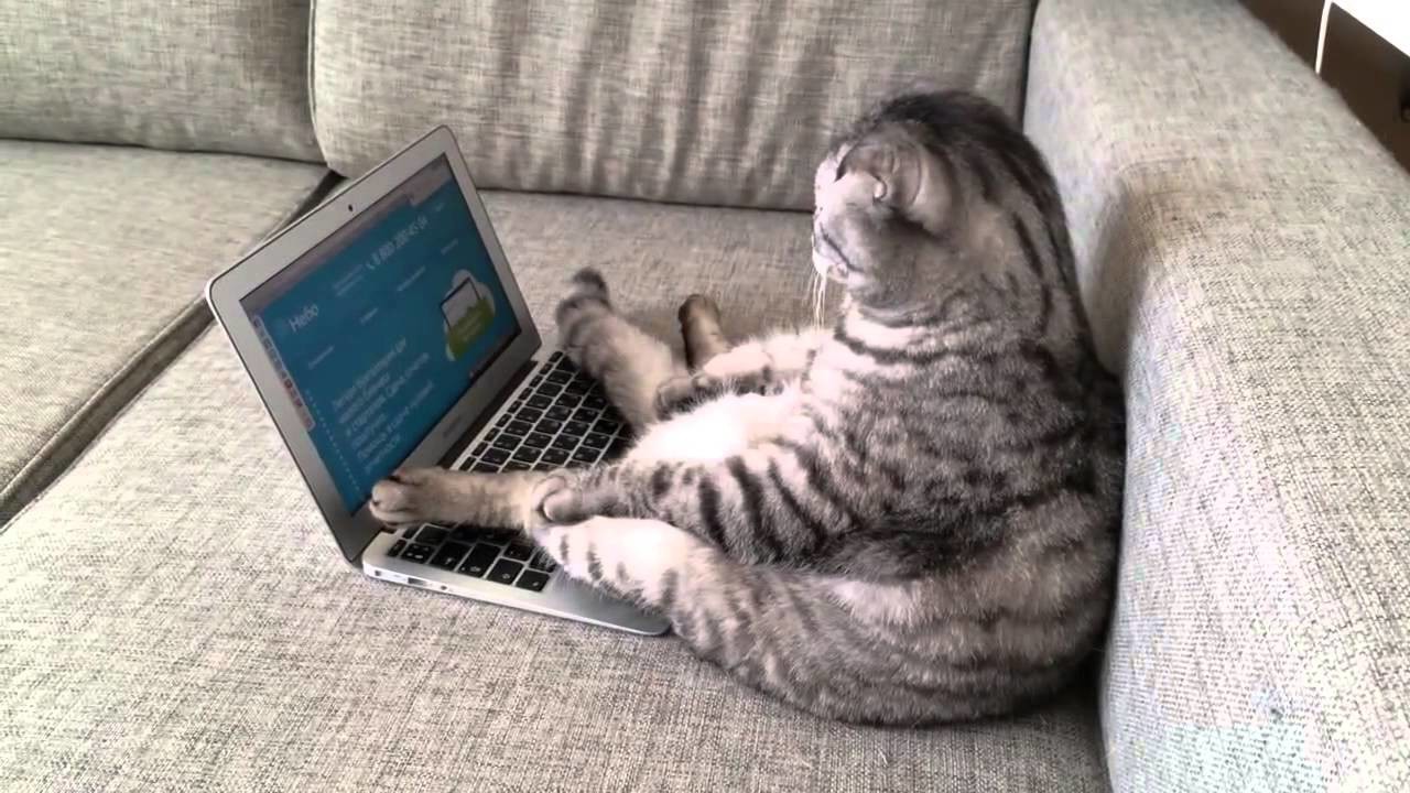 They Love Computers (20 pics)