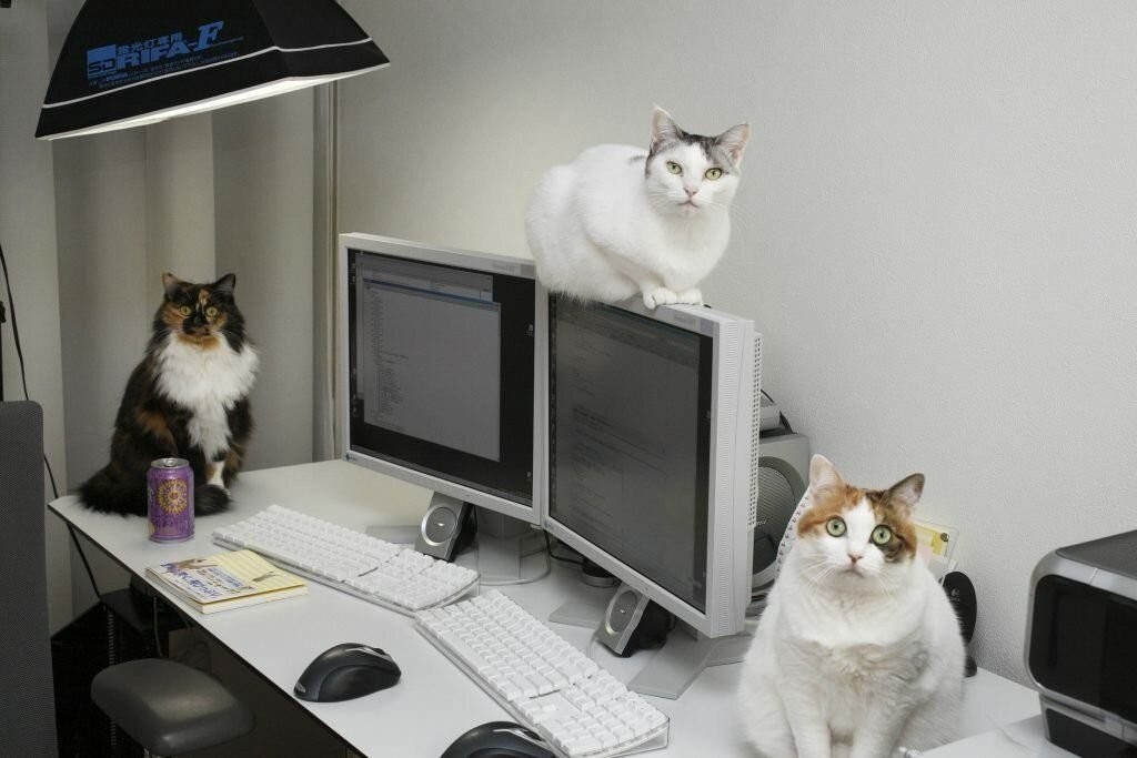 They Love Computers (20 pics)