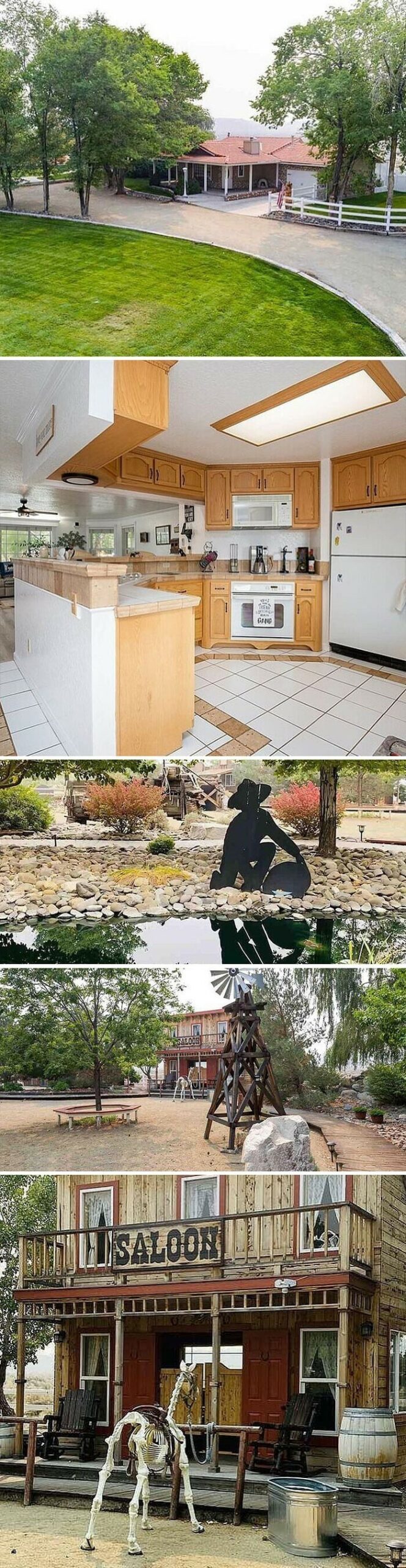 Unusual Houses And Interiors (17 pics)