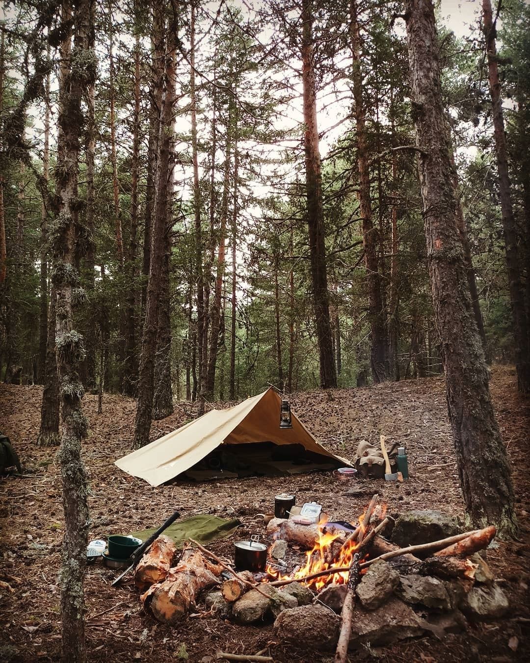 Atmospheric Bushcraft Photos (20 pics)