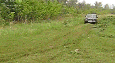 Acid GIFs, April 11 (25 gifs)