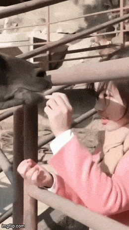 Acid GIFs, April 11 (25 gifs)