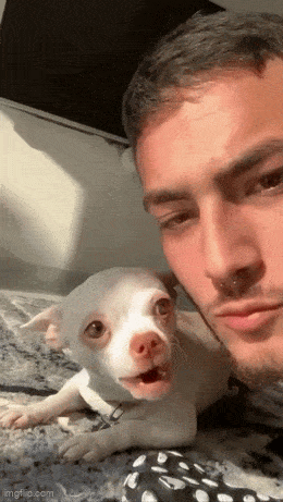 Acid GIFs, April 11 (25 gifs)