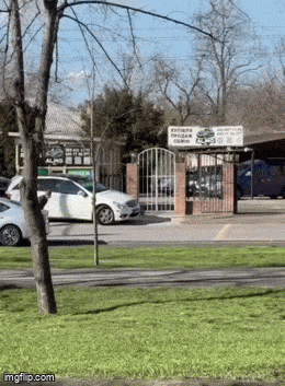 Acid GIFs, April 11 (25 gifs)