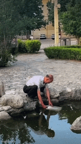 Acid GIFs, April 11 (25 gifs)