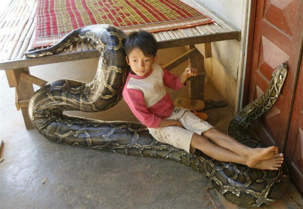 They Don't Think About Safety (20 pics)