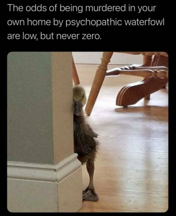 Daily Pictures. Part 2 (66 pics)