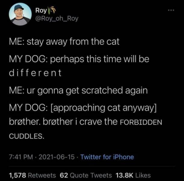 Daily Pictures. Part 2 (69 pics)