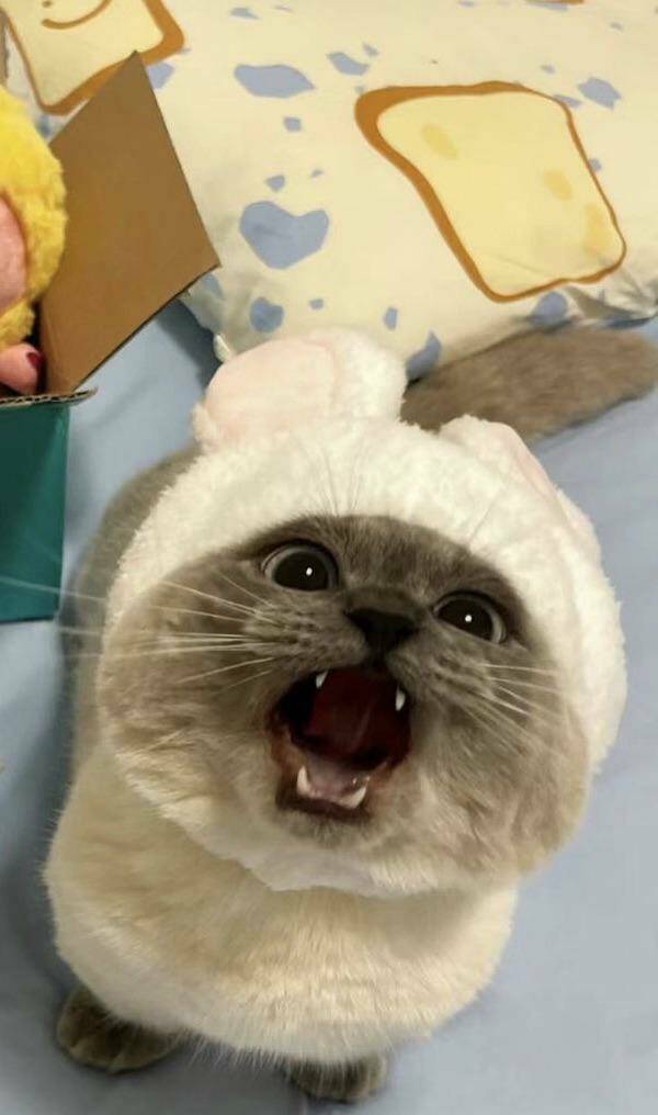 Daily Pictures. Part 2 (69 pics)