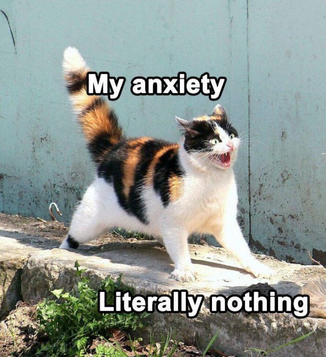Memes About Mental Health (24 pics)