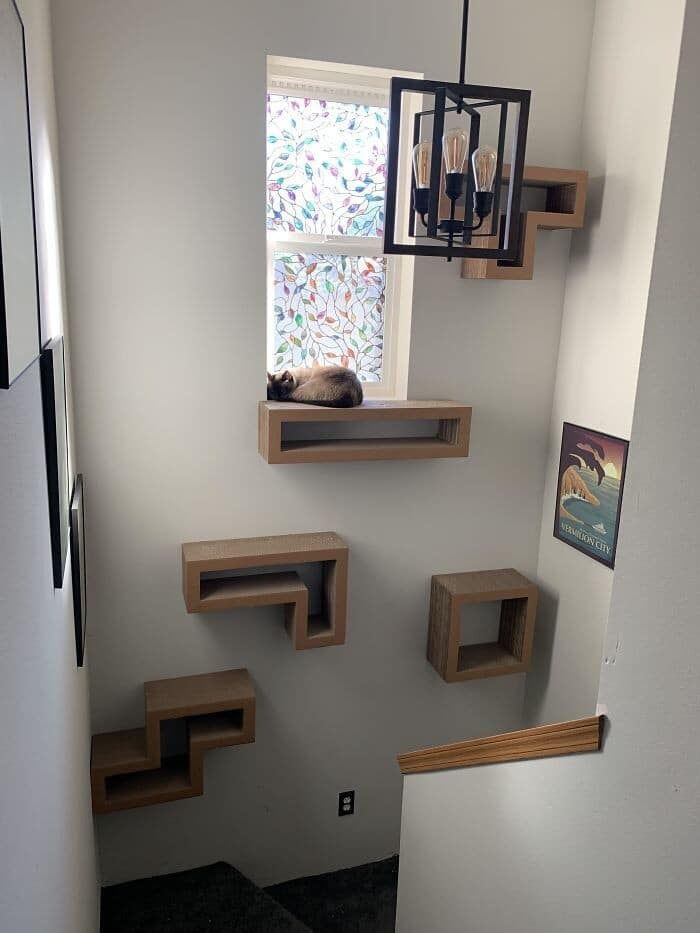 Unusual Designs (20 pics)