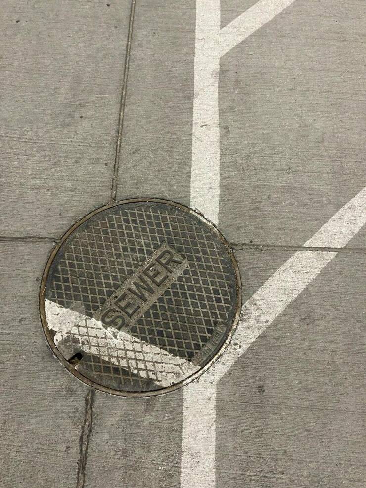 Daily Pictures. Part 2 (73 pics)