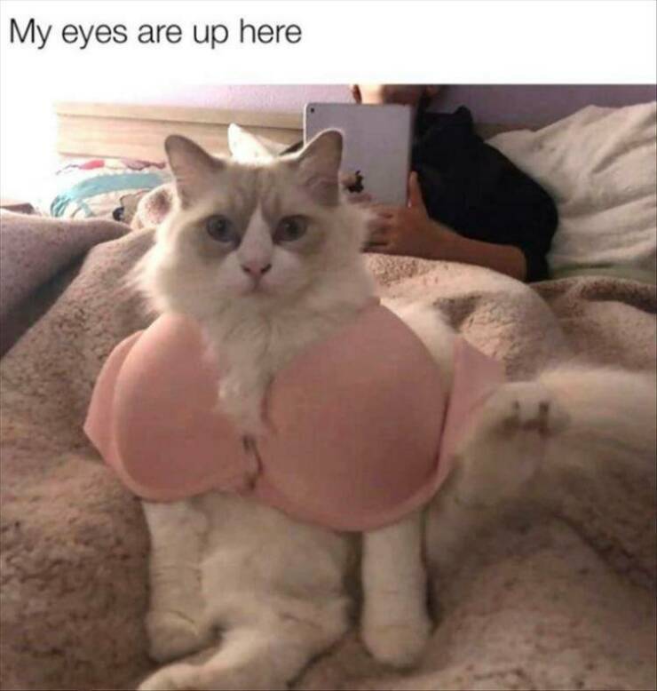 Daily Pictures. Part 2 (73 pics)