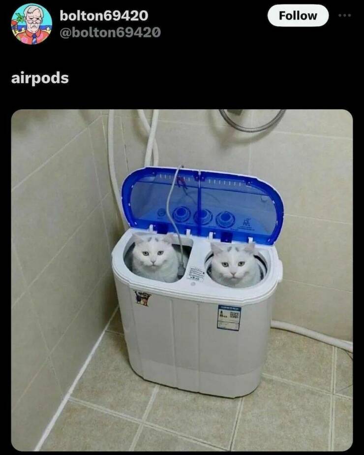 Daily Pictures. Part 2 (73 pics)
