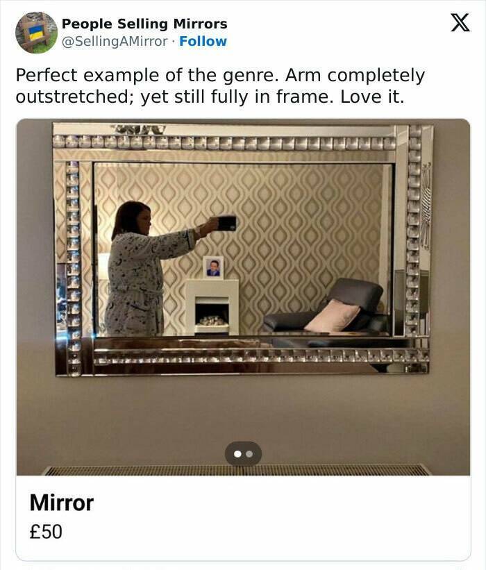 Funny Attempts To Sell A Mirror (20 pics)