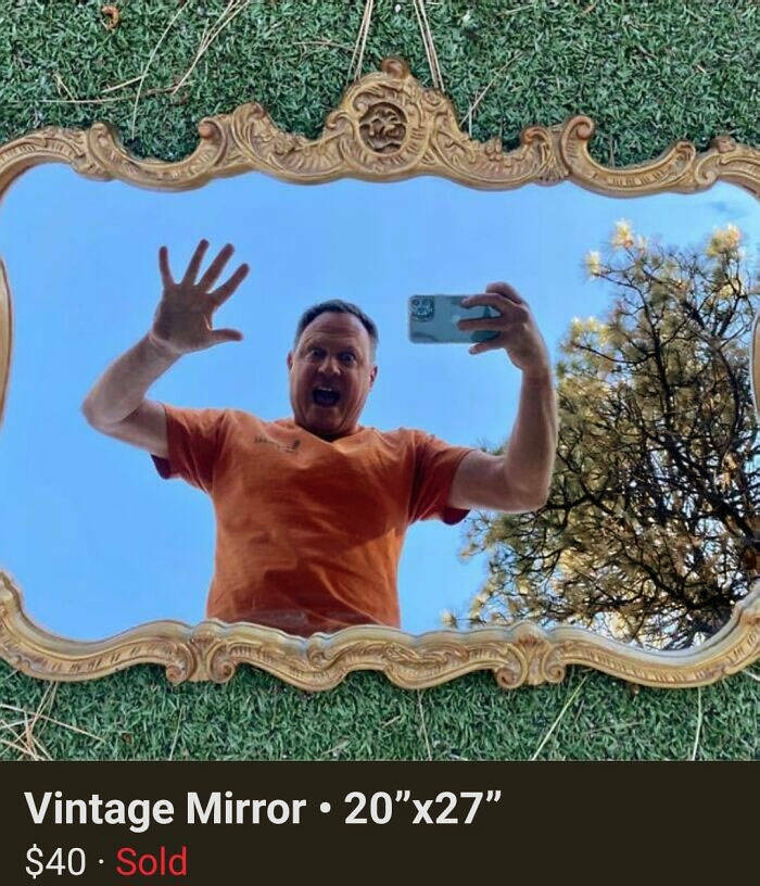 Funny Attempts To Sell A Mirror (20 pics)