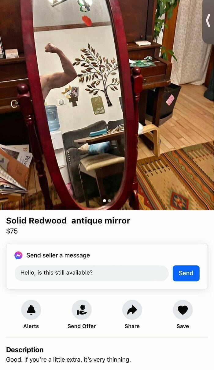 Funny Attempts To Sell A Mirror (20 pics)