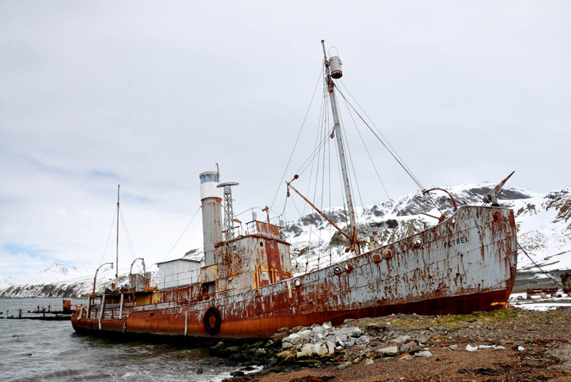 Abandoned Ships (20 pics)