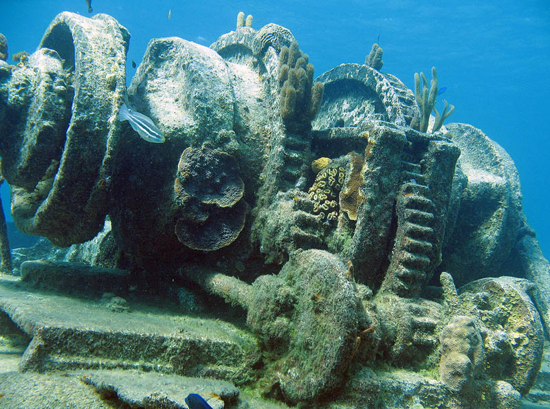 Abandoned Ships (20 pics)