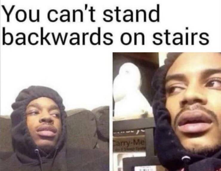 Daily Pictures. Part 2 (69 pics)