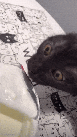 Acid GIFs, April 18 (25 gifs)