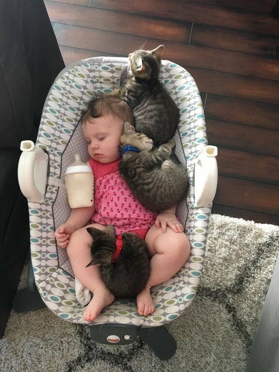 Daily Pictures. Part 2 (66 pics)