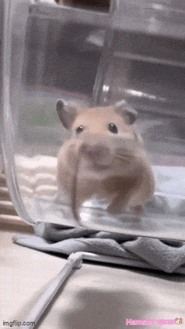 Acid GIFs, April 22 (25 gifs)