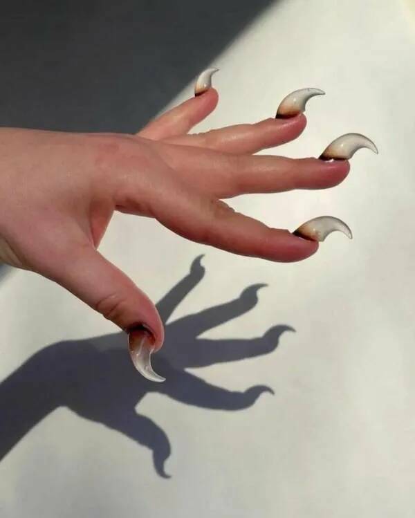 What Is Going On Here? (20 pics)