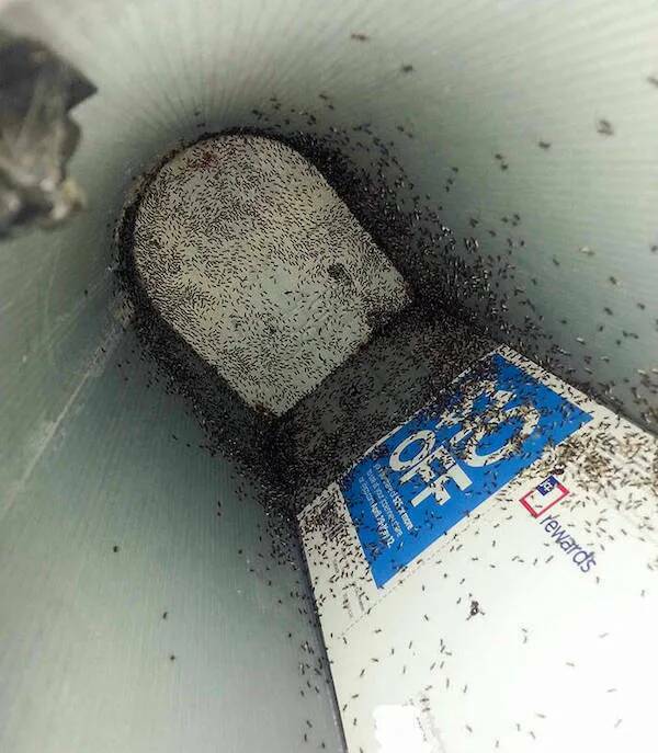What Is Going On Here? (20 pics)