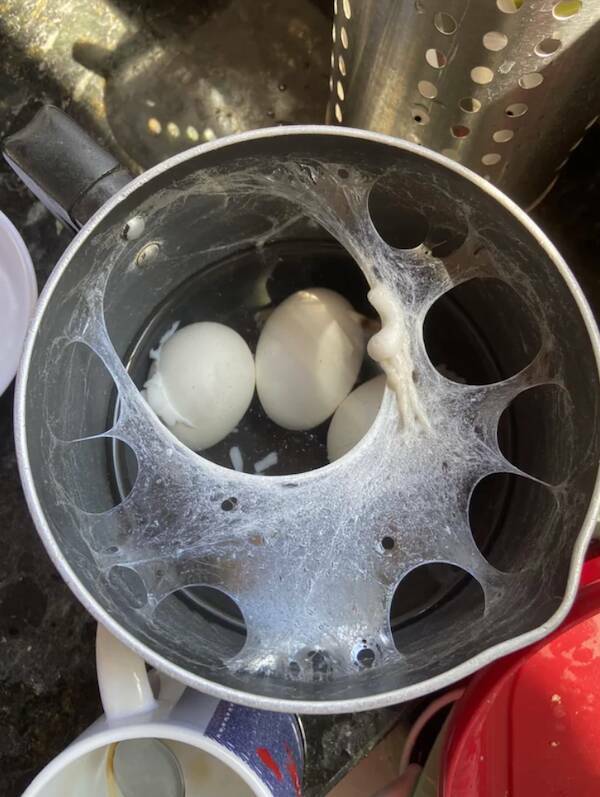 What Is Going On Here? (20 pics)