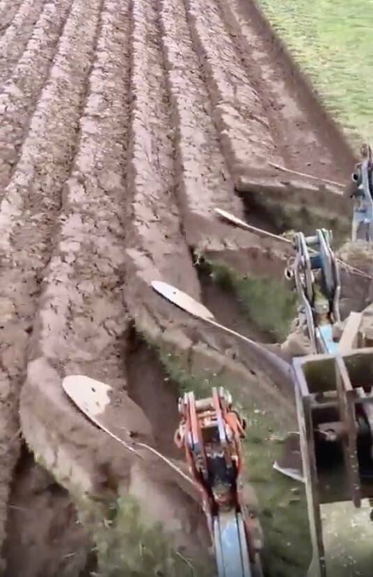 Photos For Perfectionists (20 pics)