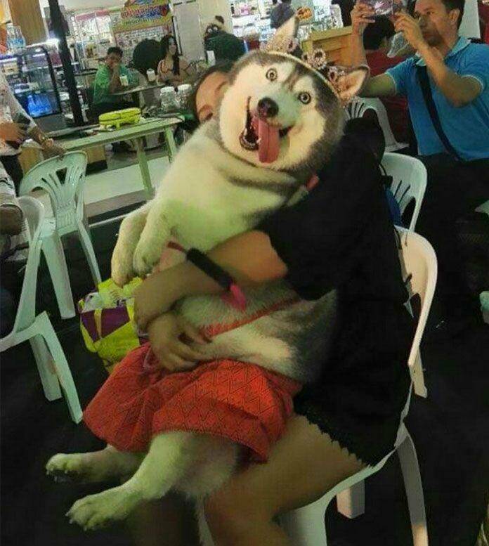 Daily Pictures. Part 2 (66 pics)