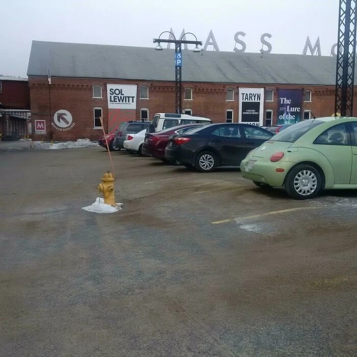 Odd Things (20 pics)