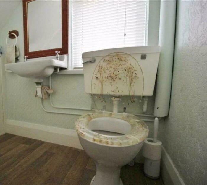 Odd Things (20 pics)